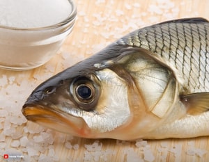 Peixe em cima de uma mesa com sal espalhado para sugerir o quanto ele está salgado